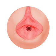 Klicka f�r st�rre bild