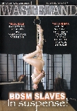 Bdsm Slaves In Suspense!  - Wasteland - Fetish Bondage Domination Straight Freaks - Vyxen Steel Jada Sinn Daisy Duxe Leila Hazlet Lilly Ligotage - 115min -  DVD.    Click for more info...
